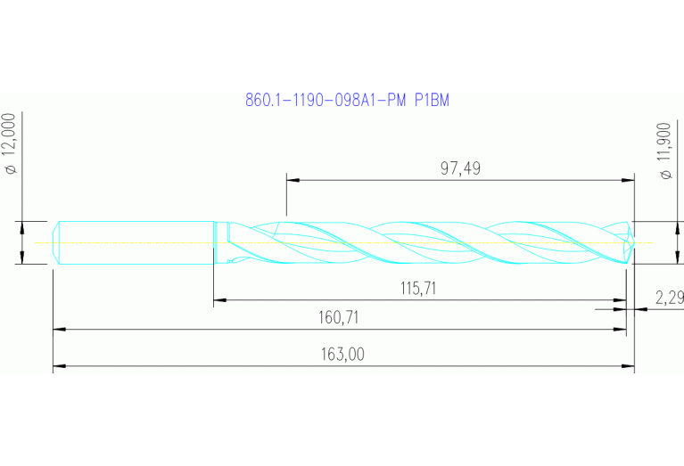 860.1-1190-098A1-PM P1BM