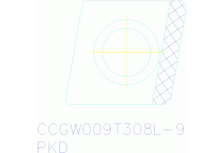 CCGW09T308FSL-9 WDN10