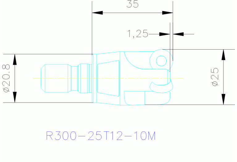 R300-25T12-10M