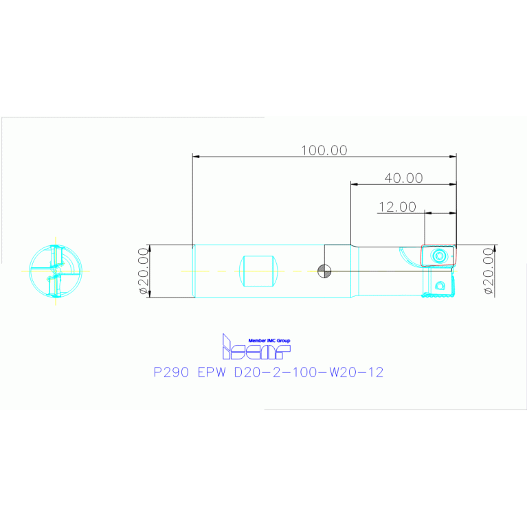 P290 EPW D20-2-100-W20-12