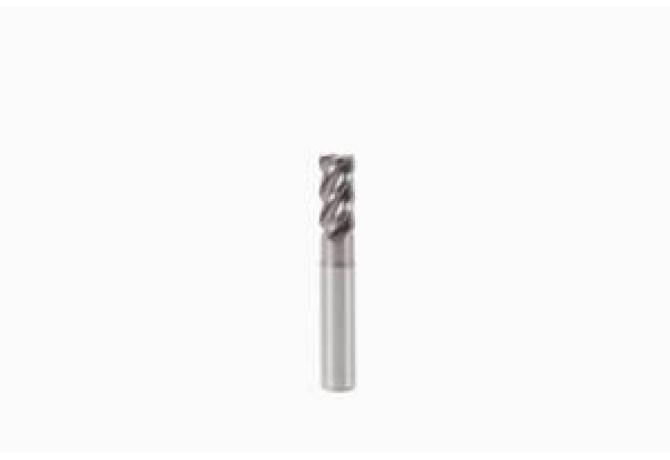 750160R080.0-TRIBON