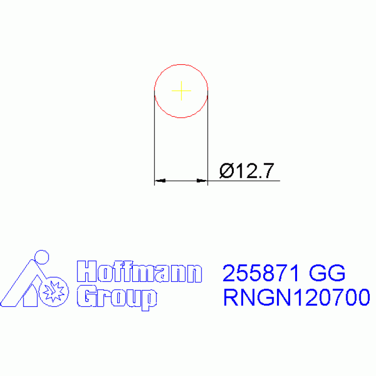 255871 GG