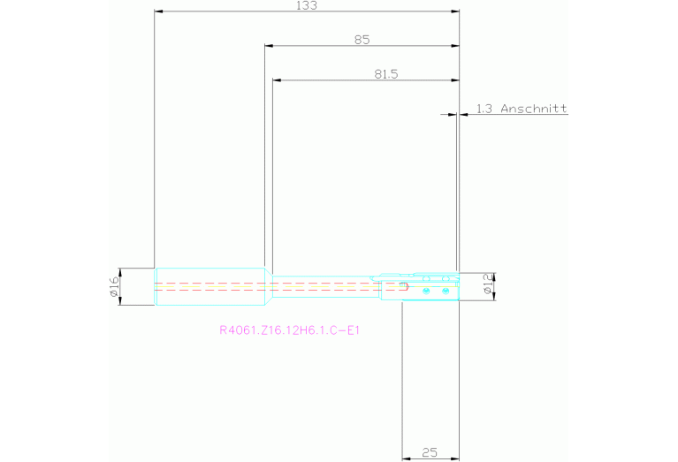 R4061.Z16.12H6.1.C-E1