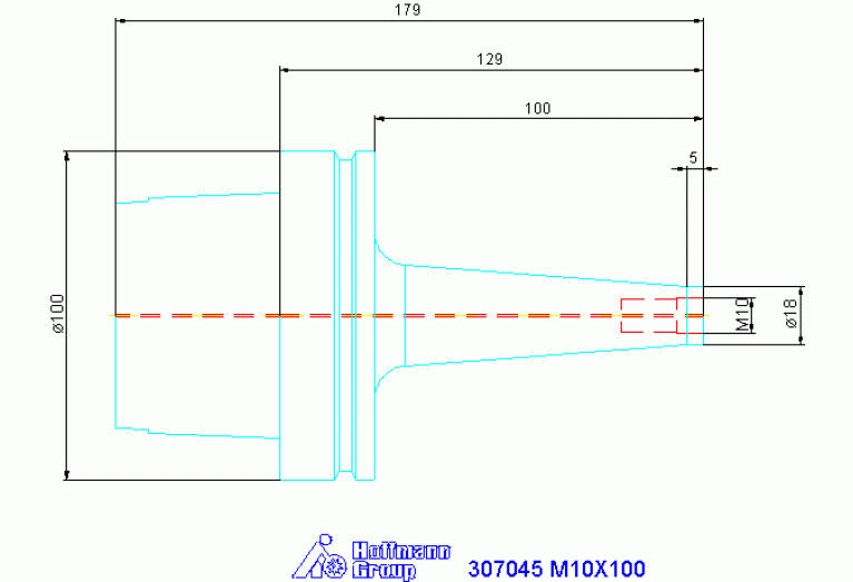 307045 M10X100