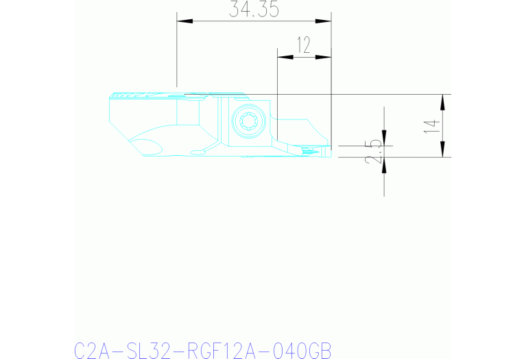 C2A-SL32-RGF12A-040GB