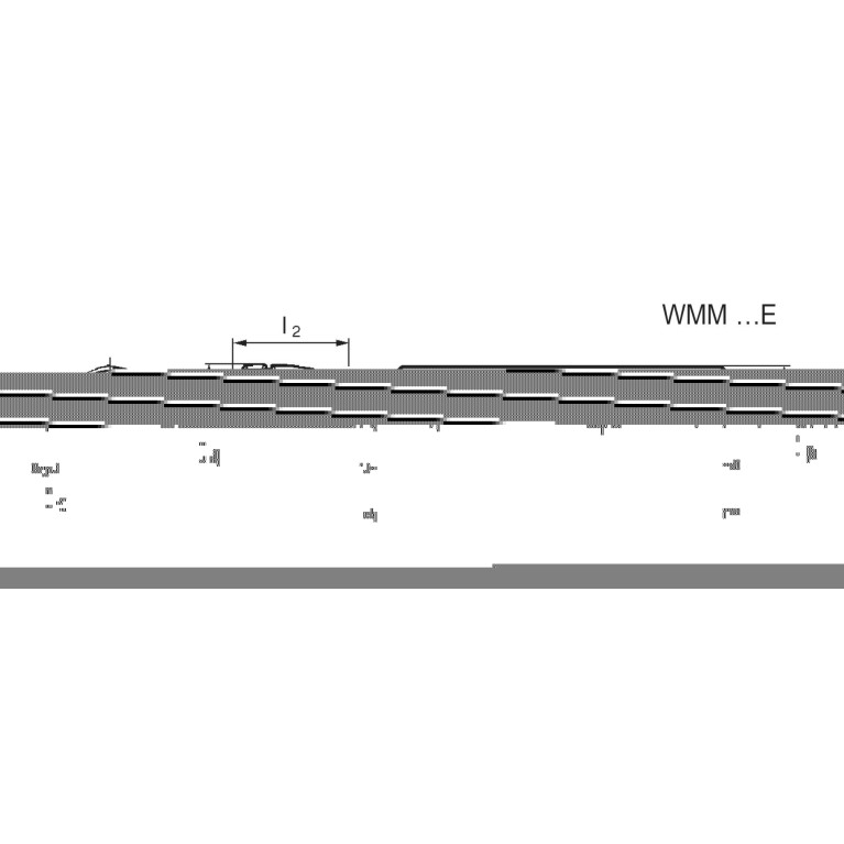 WMM 2020EW