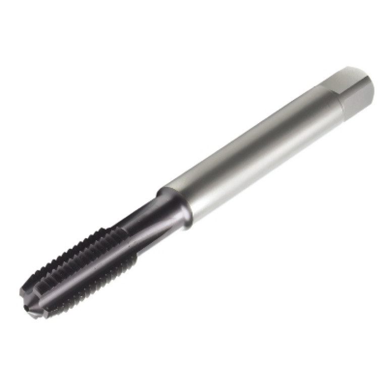 T101M12