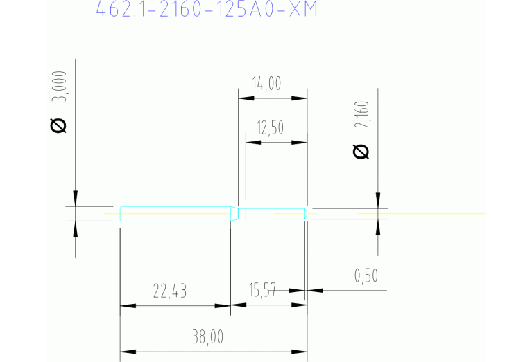 462.1-2160-125A0-XM X2BM