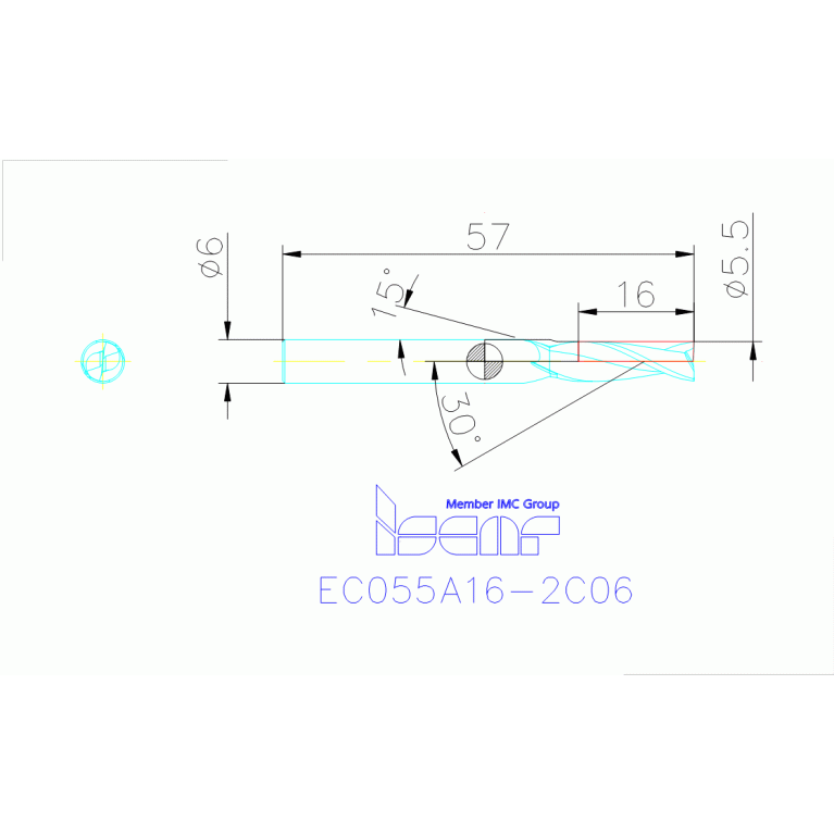 EC055A16-2C06 IC300