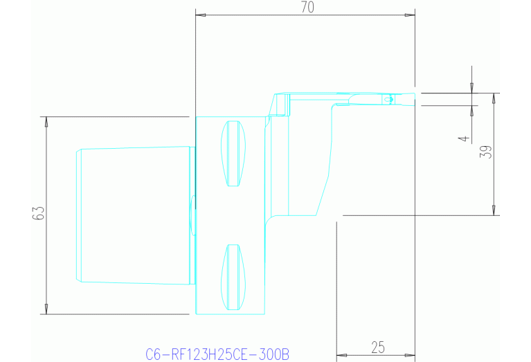 C6-RF123H25CE-300B