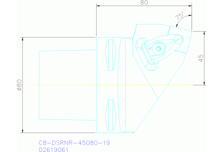C8-DSRNR-45080-19