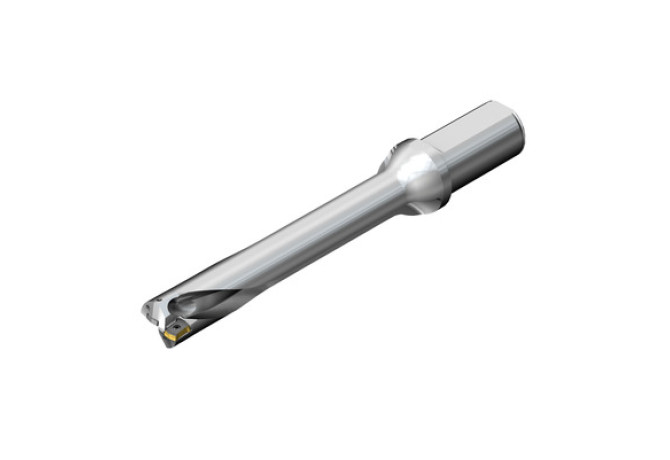 DS20-D4200L50-06