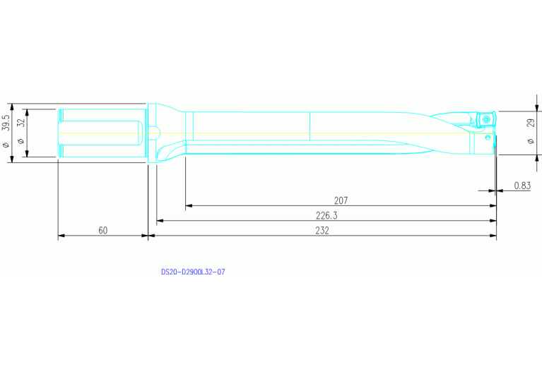 DS20-D2900L32-07