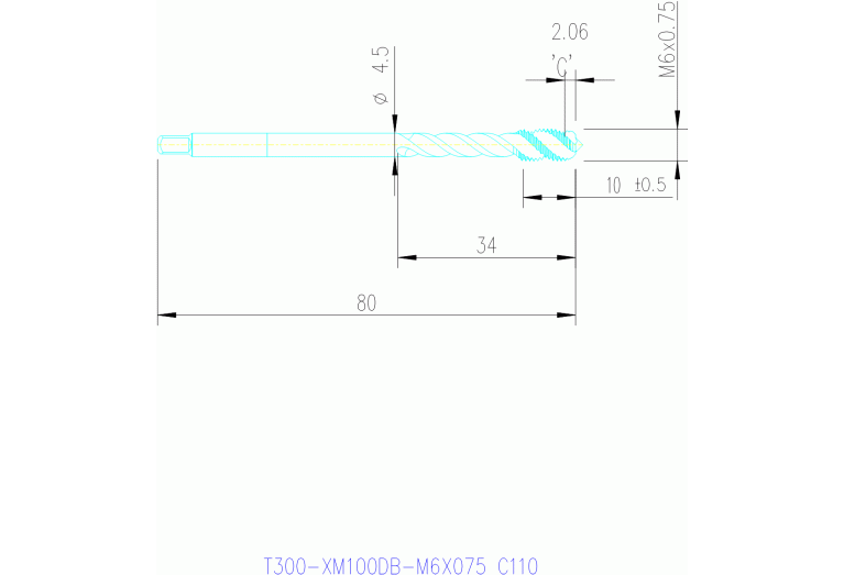 T300-XM100DB-M6X075 C150