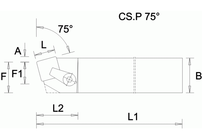 CSBPL1616H09