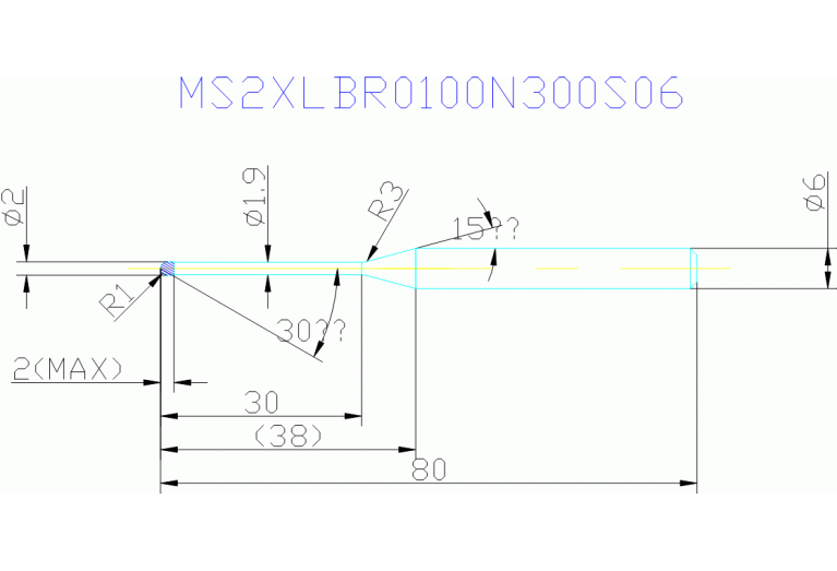 MS2XLBR0100N300S06