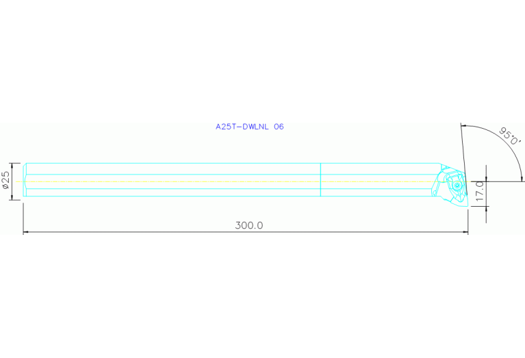 A25T-DWLNL 06
