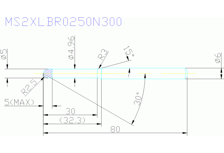 MS2XLBR0250N300