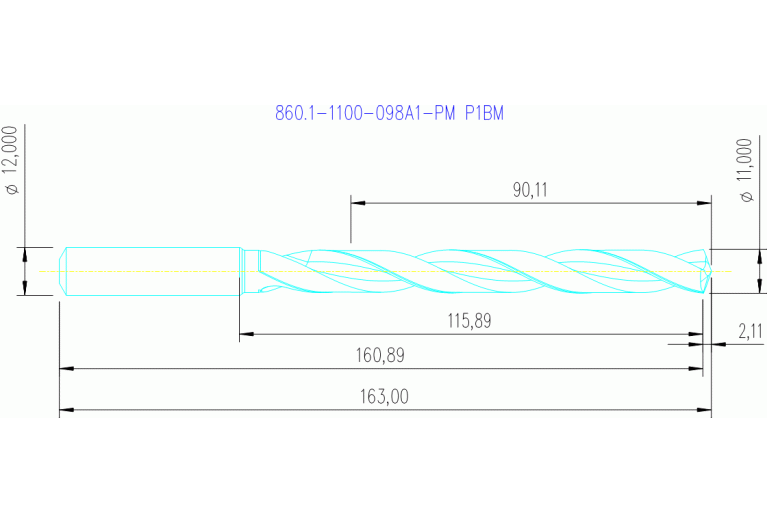 860.1-1100-098A1-PM P1BM