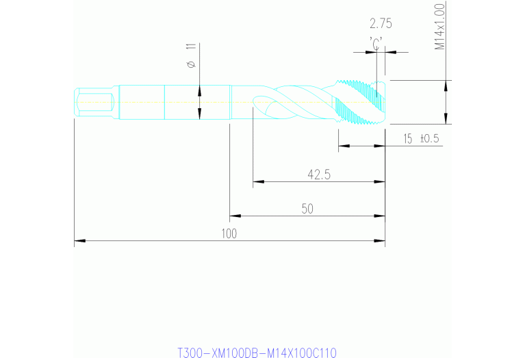 T300-XM100DB-M14X100C110