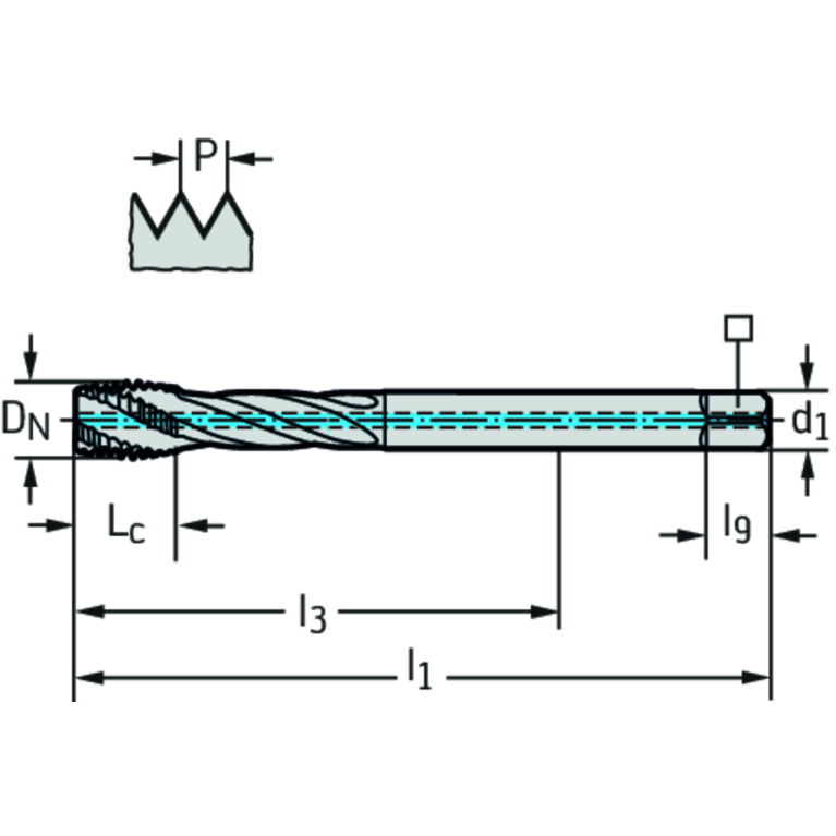 TC121-M12-L1-WW60RG