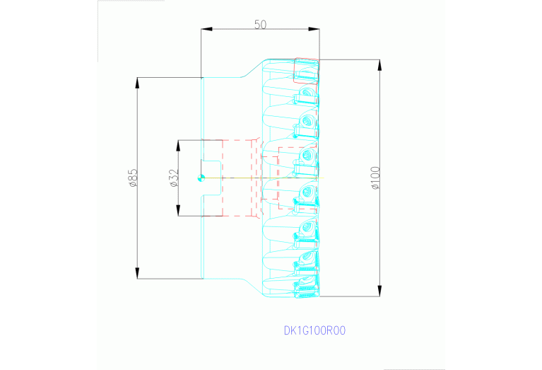 DK1G100R00