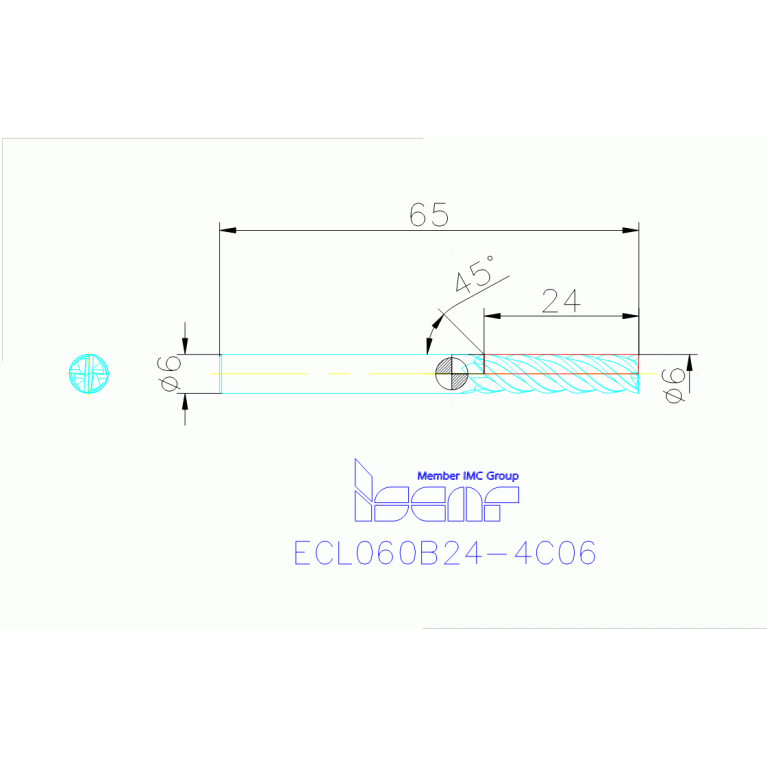 ECL060B24-4C06 IC900