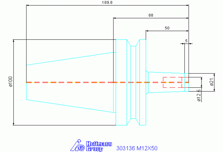 303136 M12X50