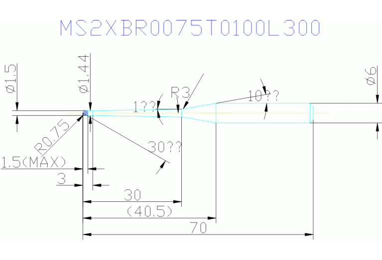 MS2XBR0075T0100L300