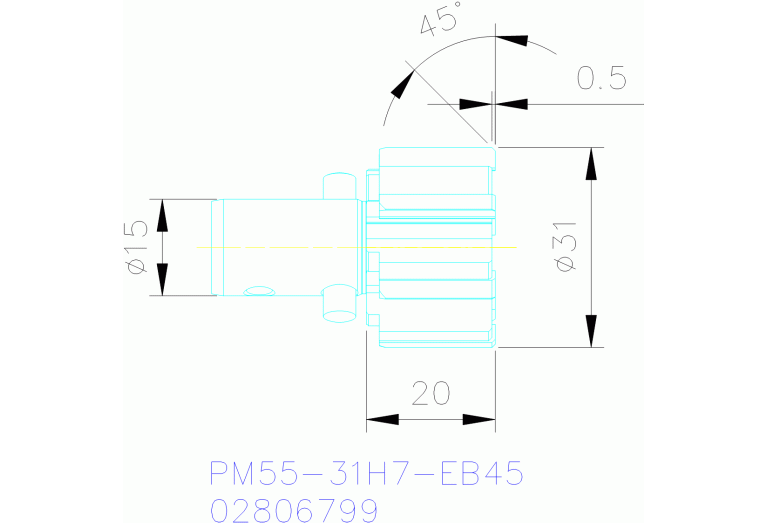 PM55-31H7-EB45 RX2000