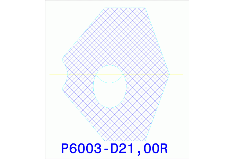 P6002-D21,00R WXK25