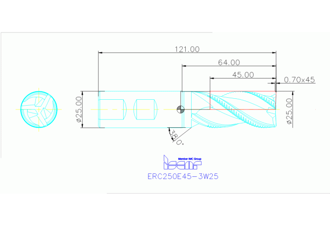 ERC250E45-3W25 IC300
