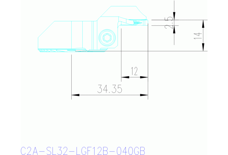 C2A-SL32-LGF12B-040GB