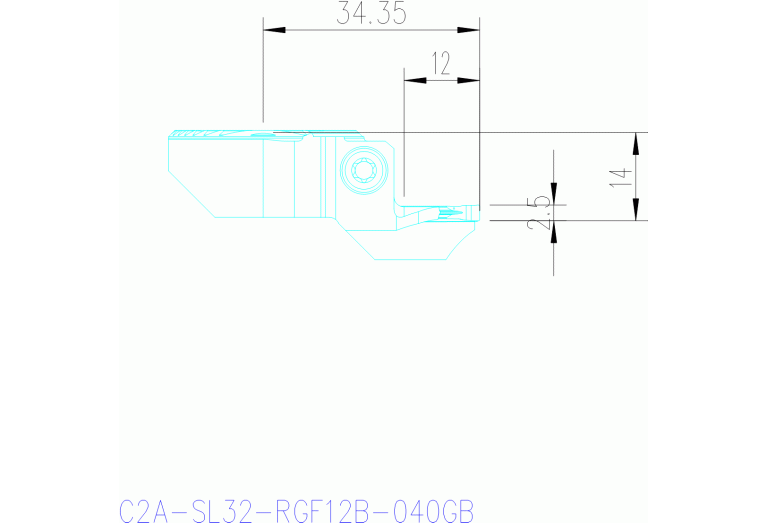C2A-SL32-RGF12B-040GB