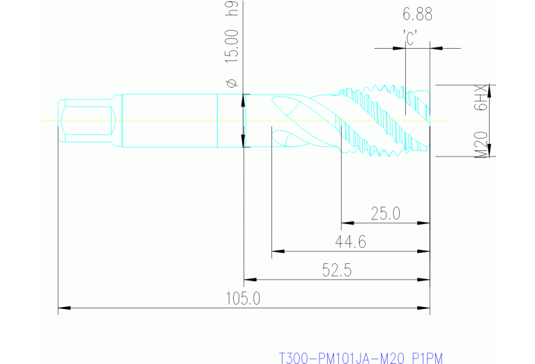T300-PM101JA-M20 P1PM