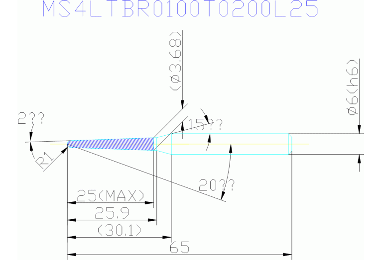 MS4LTBR0100T0200L25