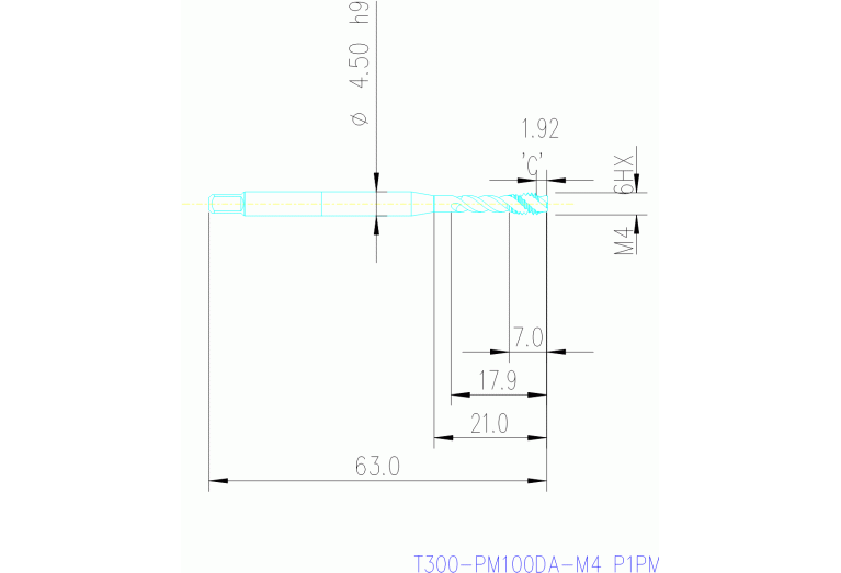 T300-PM100DA-M4 P1PM