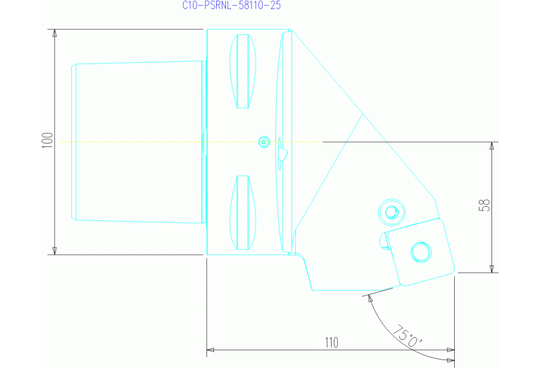 C10-PSRNL-58110-25
