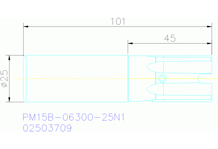 PM15B-06300-25N1
