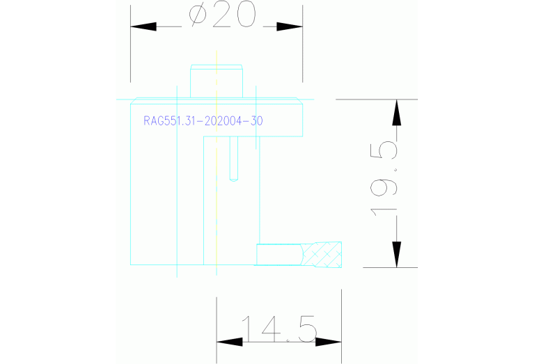 RAG551.31-202004-30