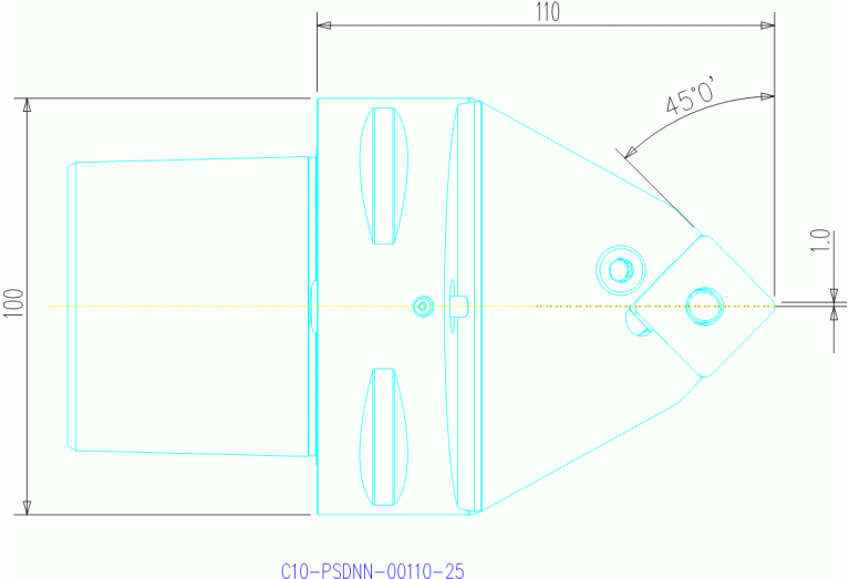 C10-PSDNN-00110-25