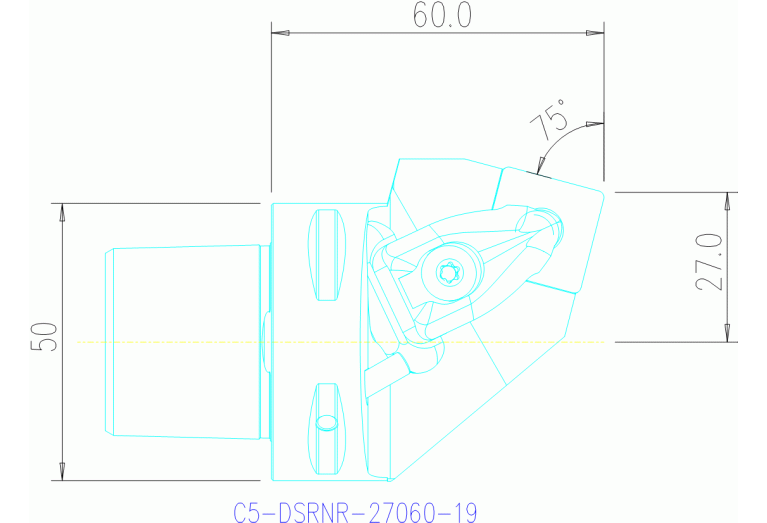 C5-DSRNR-27060-19