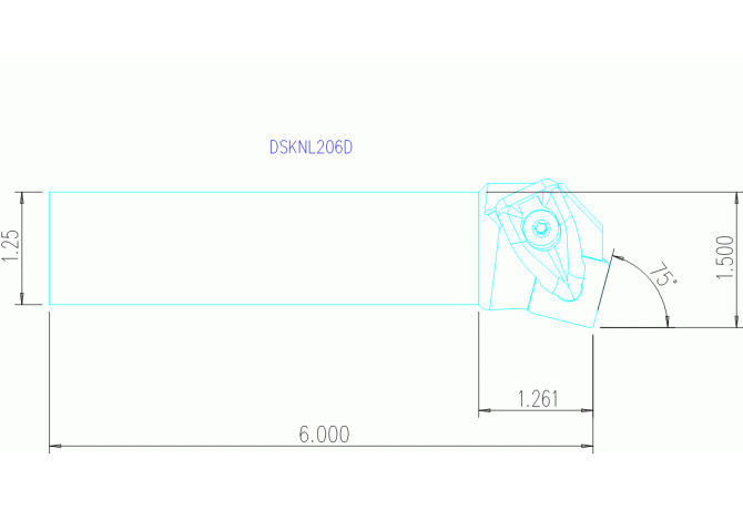 DSKNL206D