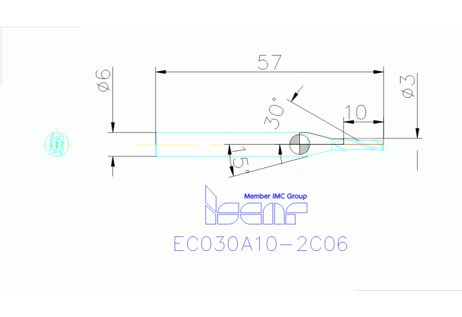 EC030A10-2C06 IC300