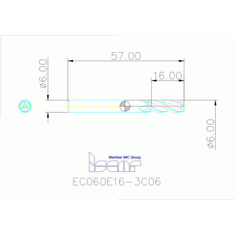 EC060E16-3C06 IC300
