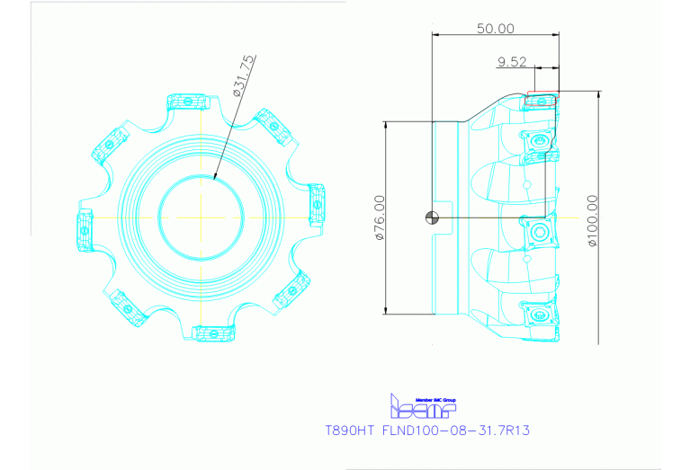 T890HT FLND100-08-31.7R13