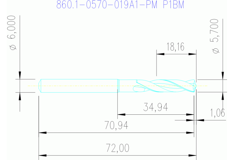 860.1-0570-019A1-PM P1BM