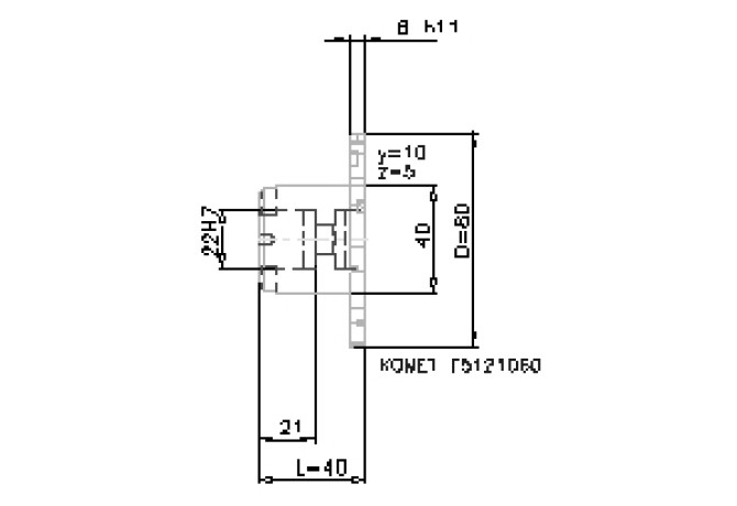 F51 21060