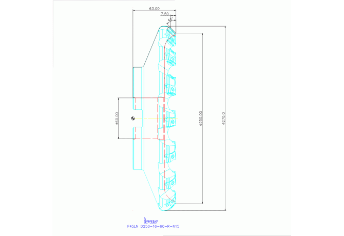 F45LN D250-16-60-R-N15