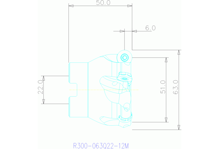 R300-063Q22-12M